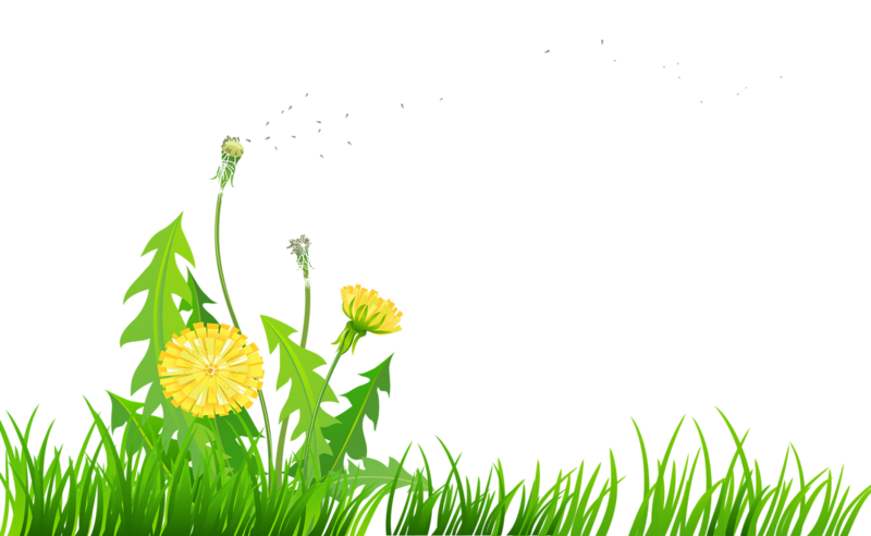 Mehr über den Artikel erfahren Freitag, 07.05.’21 – LG3